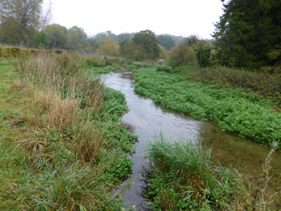 The River Chess at Scotsbridge